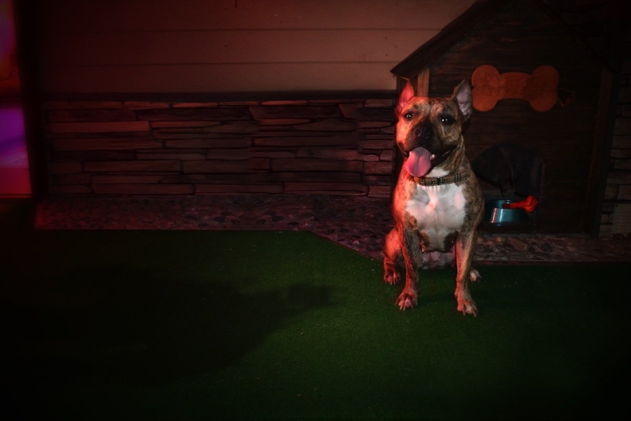 Квест в реальности Астрал от компании Тайная комната Квест в реальности Астрал от компании Тайная комната